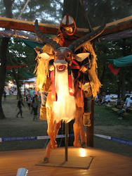 IMG_9668_s.jpg