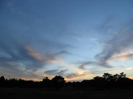 IMG_9736_s.jpg