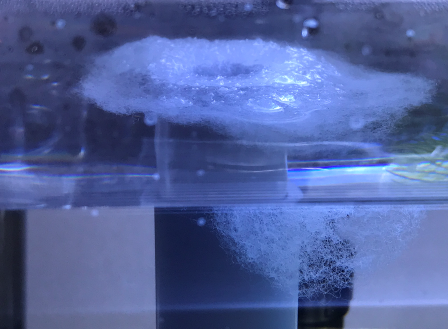 自作アクリル水槽