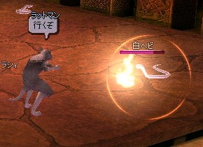クチチ1