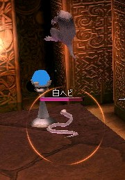 クチチ4