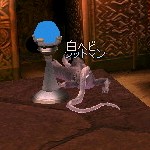 クチチ5