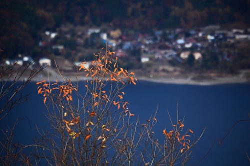 IMG_4463b.JPG