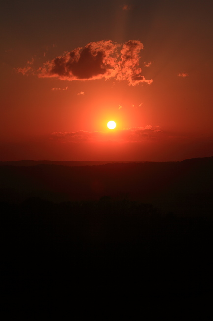 IMG_5677c.JPG