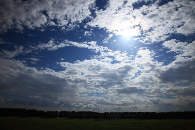 IMG_5683c.JPG