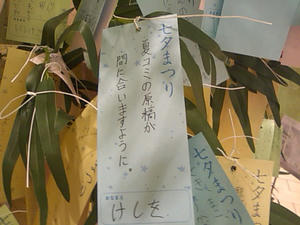 SN3F0778.jpg
