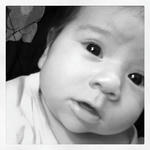 アン子ちゃんショット