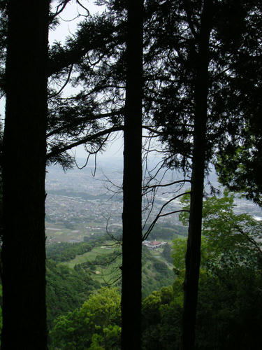yabitsu_003.jpg