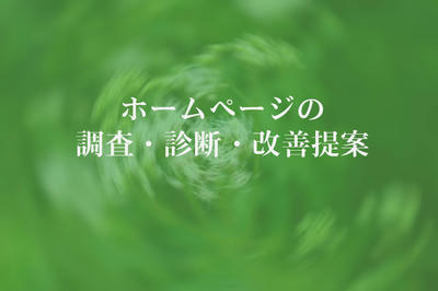 ホームページの調査・診断・改善提案