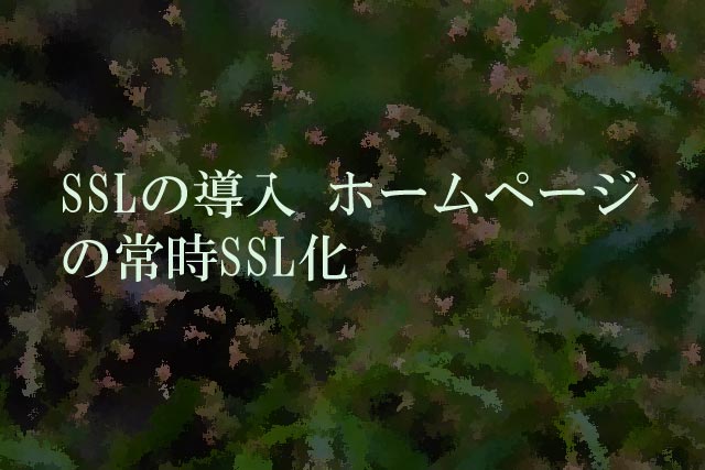SSLの導入 ホームページの常時SSL化
