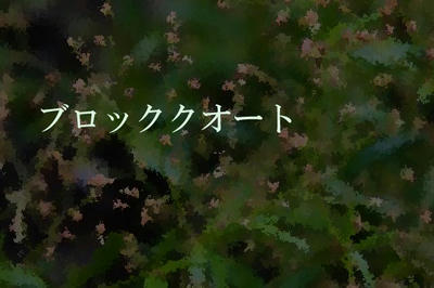 ブロッククオート