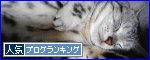br_decobanner_20100414224120.gif