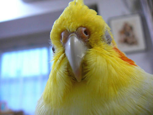 070630-80.jpg