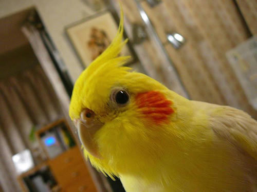 070827-90.jpg