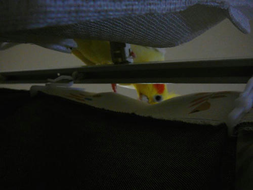070827-50.jpg