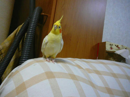 070830-90.jpg