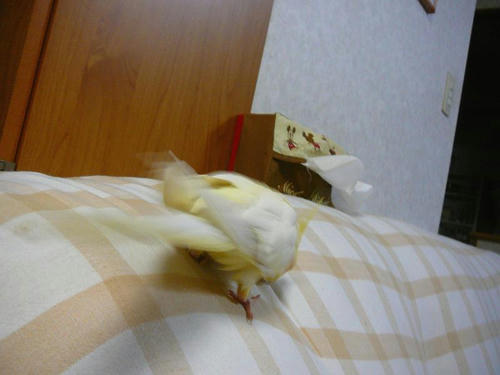 070830-80.jpg