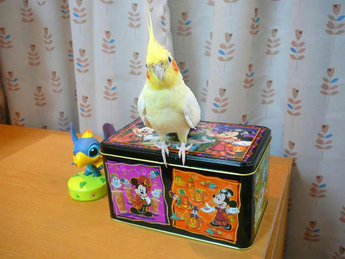 070915-60.jpg