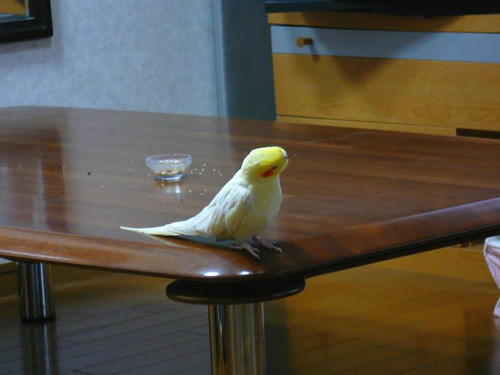 070916-80.jpg