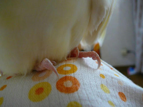 070917-50.jpg