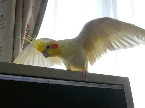 070922-90.jpg