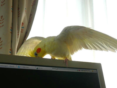 070922-80.jpg