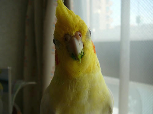 071231-15.jpg