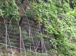 2008_08280002.JPG