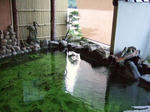 2008_08280032.JPG