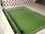 2008_08280050.JPG