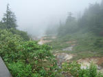 2008_08280134.JPG