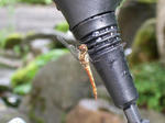 2008_08280197.JPG