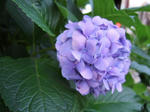 2008_08280213.JPG
