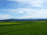2008_08280263.JPG