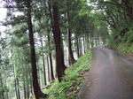 2008_08280265.JPG