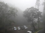 2008_08280292.JPG