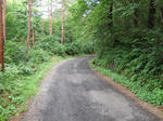 2008_08280301.JPG