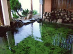 2008_08280035.JPG