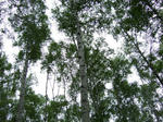 2008_08280130.JPG