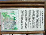 2008_08280221.JPG