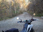 2008_11020003.JPG