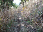 2008_11160017.JPG