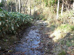 2008_11160018.JPG