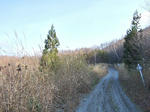 2008_11160012.JPG
