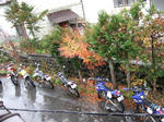 2008_11160026.JPG