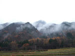 2008_11160038.JPG