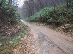 2008_11160031.JPG