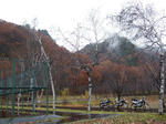 2008_11160042.JPG