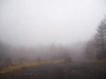 2008_11160046.JPG