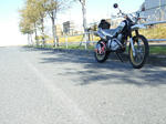 2008_11300002.JPG